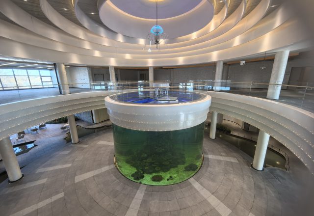 项目实例展示2